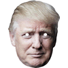 1753 - Donald Trump Version 2 TikTok Mask