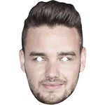 Liam Payne One Direction Mask 2